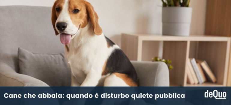 cane che abbaia