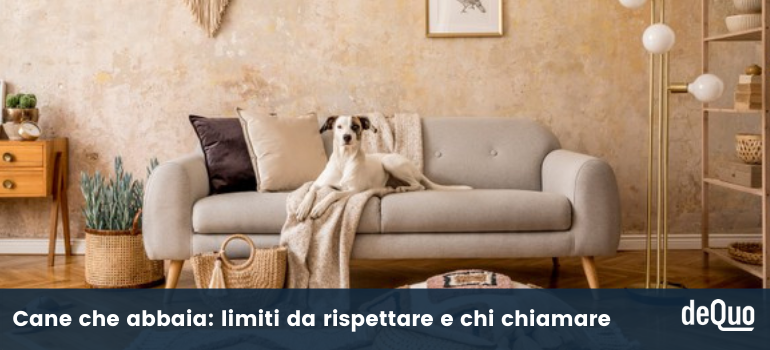 cane che abbaia