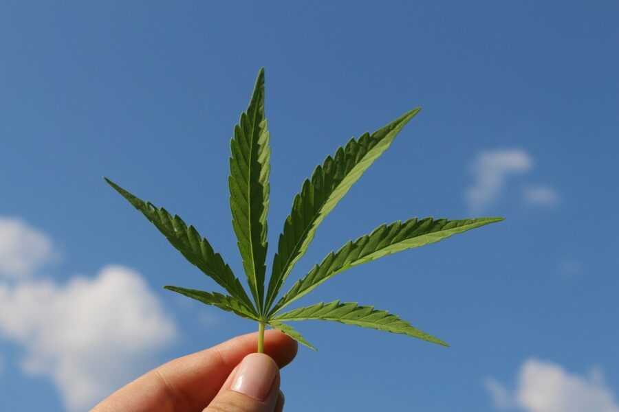liberalizzazione cannabis bocciata