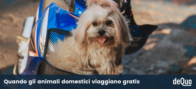 cani e gatti biglietto mezzi pubblici