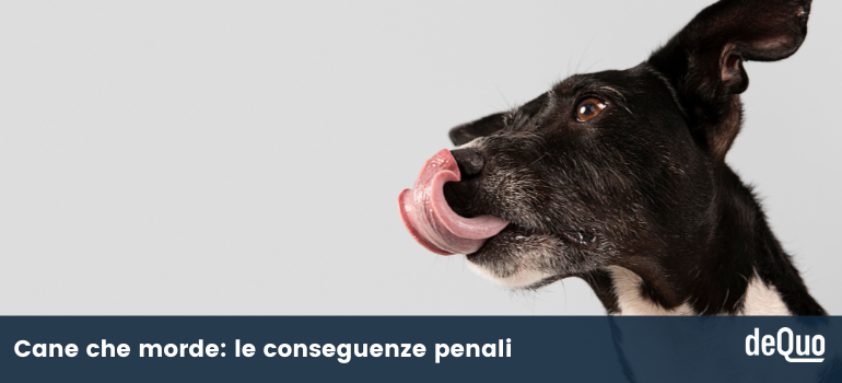 cane che morde