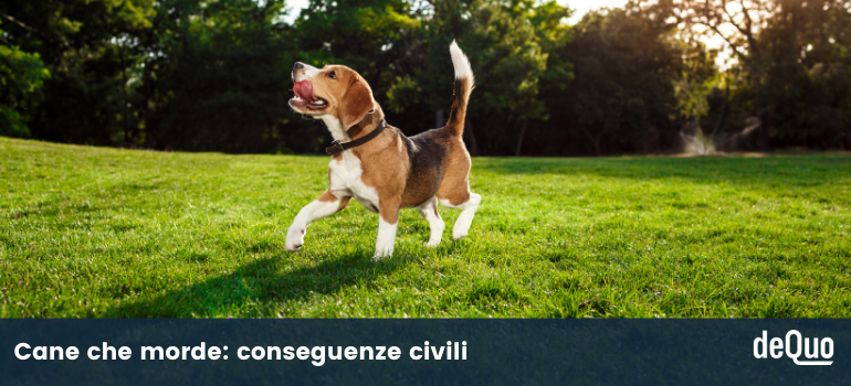 cane che morde