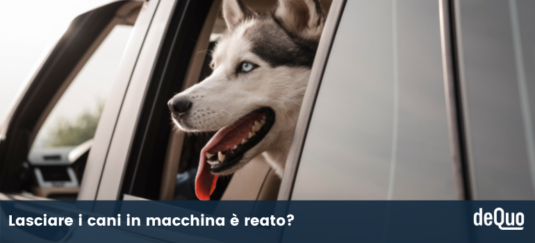 lasciare cane in machina per ore