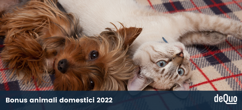 bonus animali domestici