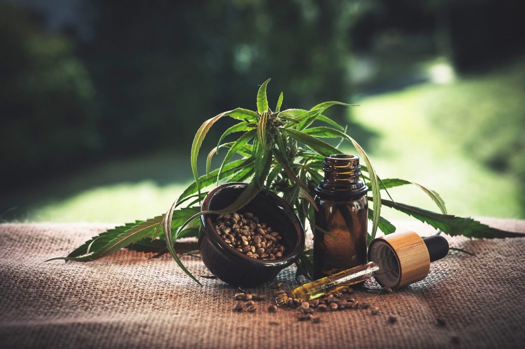 coltivare cannabis in casa è reato