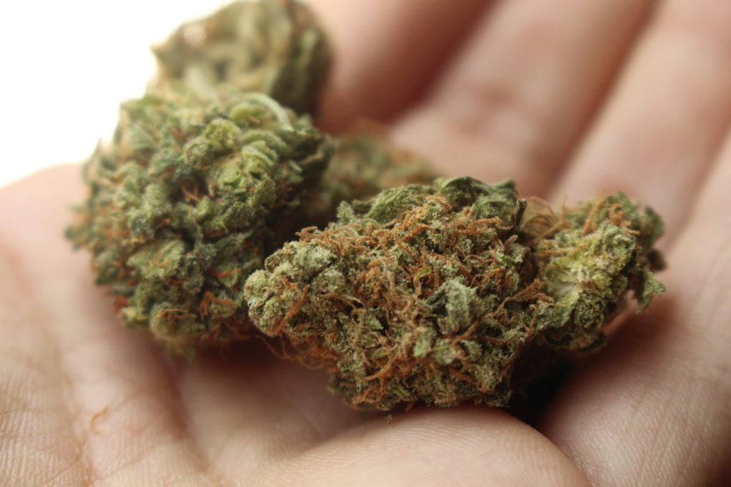 la cannabis per uso personale è reato